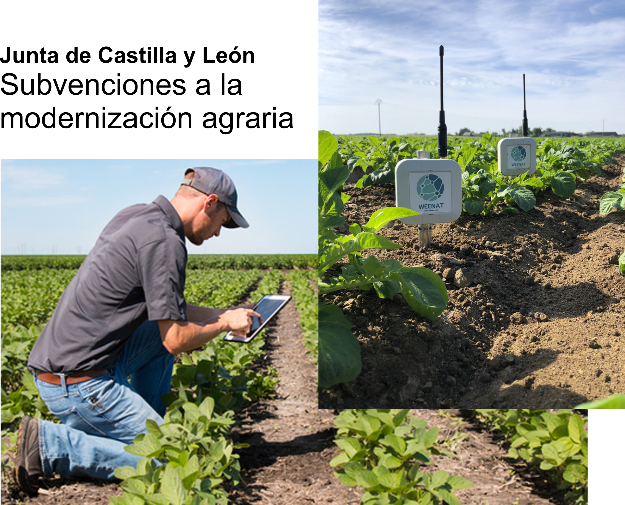 Los Sensores Agrícolas son subvencionados como parte de la modernización agraria.